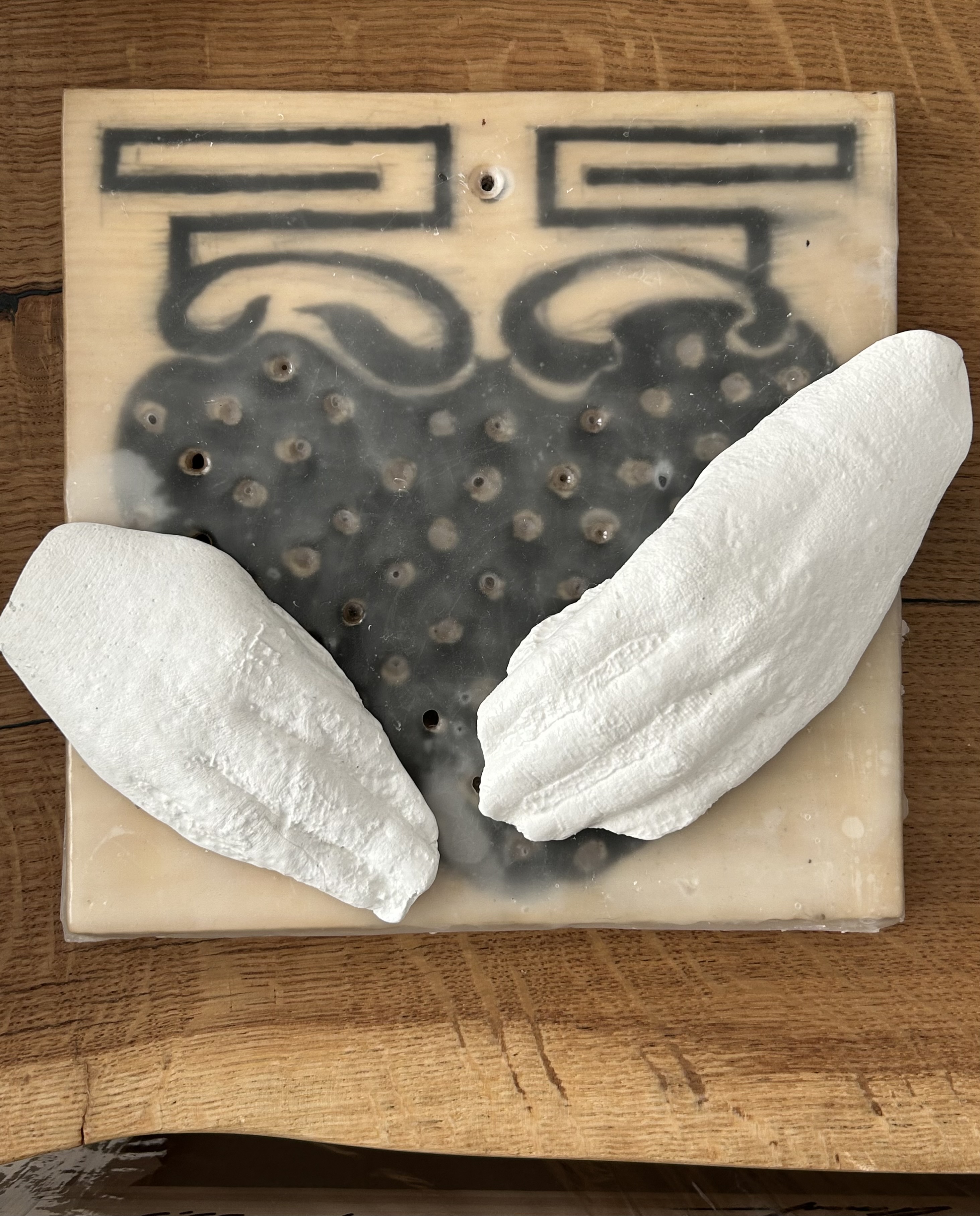 Taustāmā auglība 